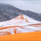 Illustration for article titled Photos of Freak Snowfall in the Sahara Look Unrealem/em